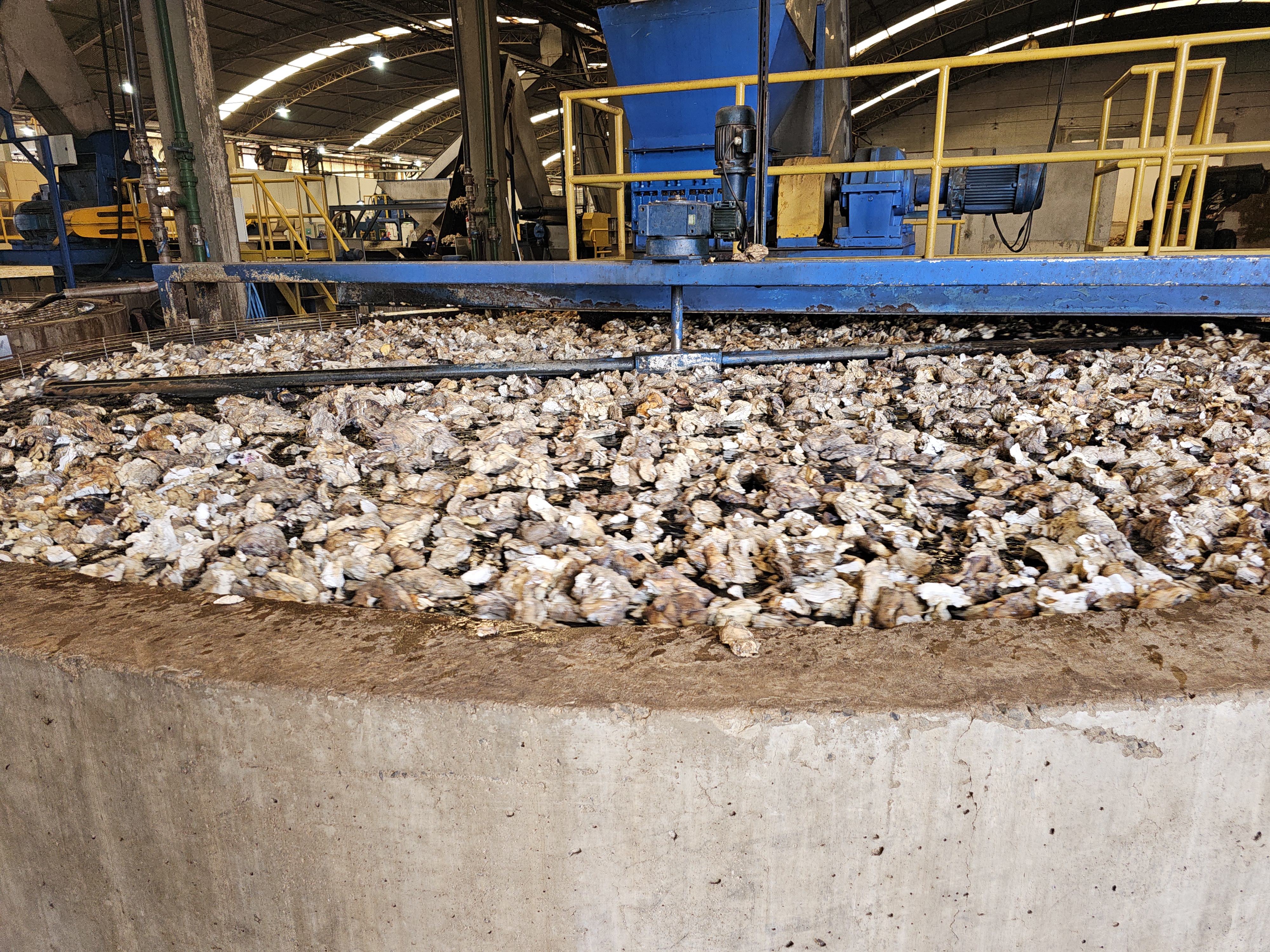 Borracha sendo lavada.