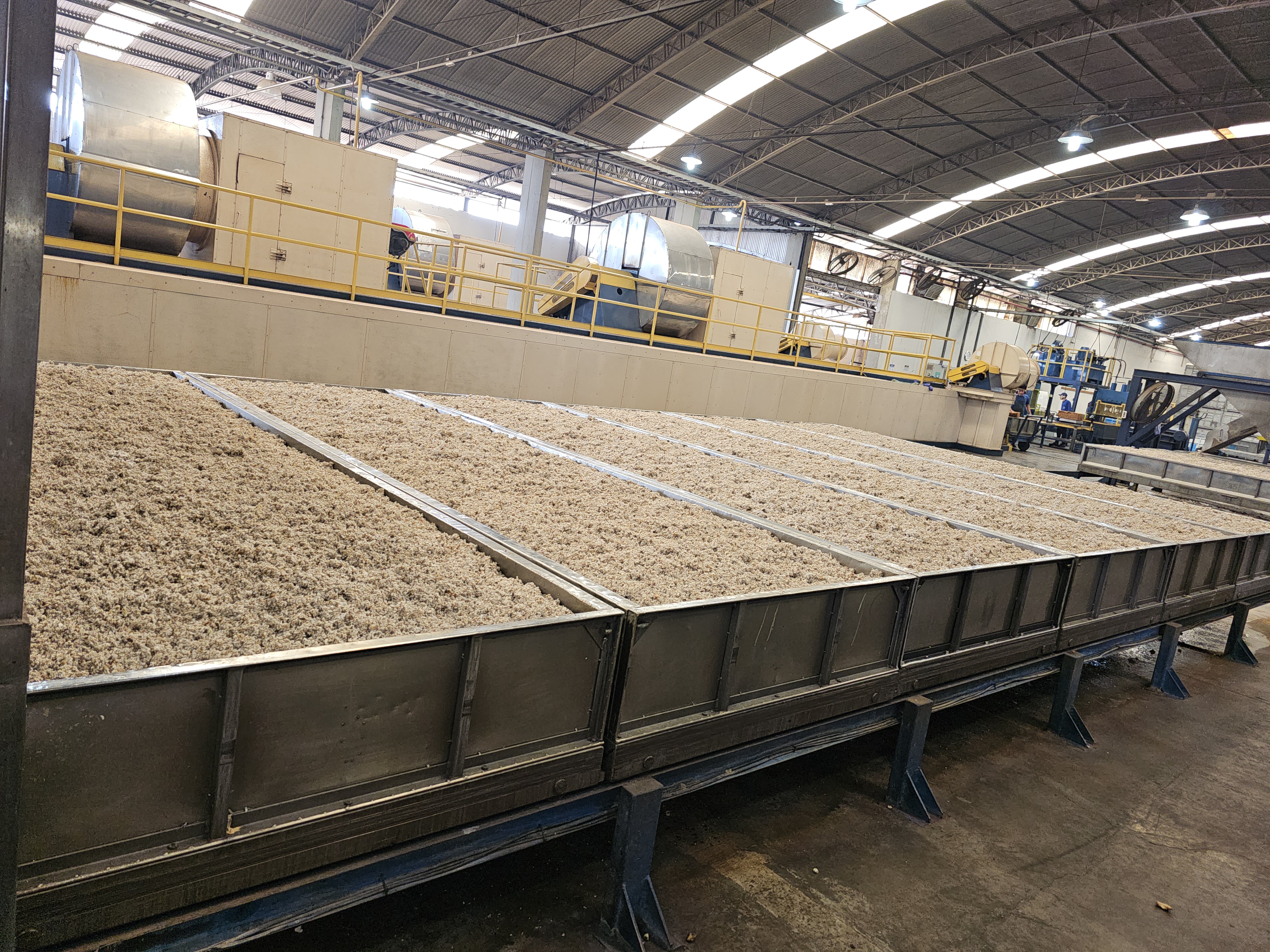 Borracha triturada e lavada pronta para secagem nas estufas.