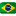 Idioma Português Brasil